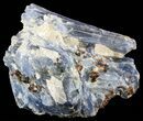 Vibrant Blue Kyanite Crystals In Quartz - Brazil #56933-1